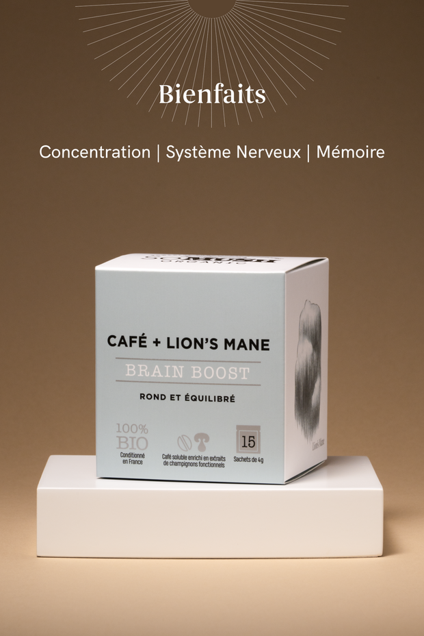 Café Concentration | Lion's Mane